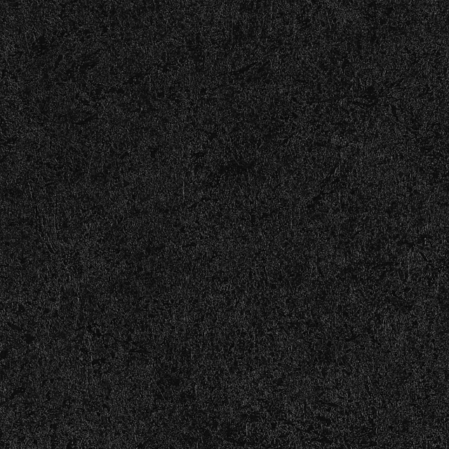 APL_Coro_matt